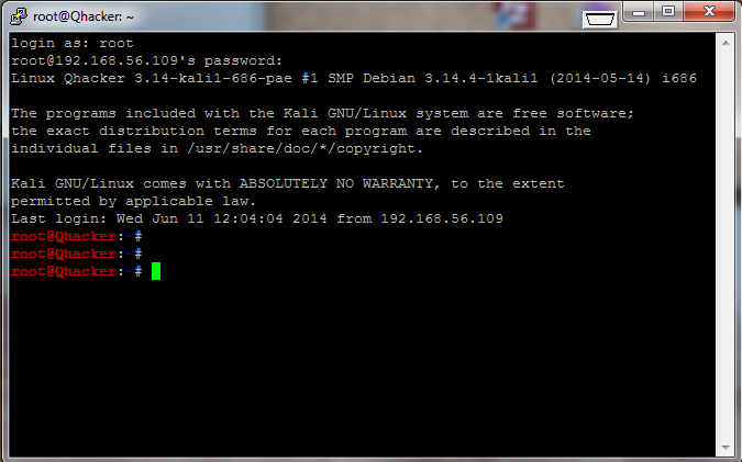 enable ssh server puppy linux